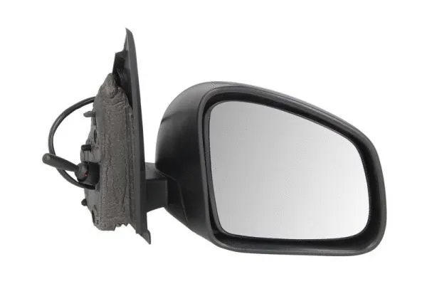 Exterior Mirror (5402-09-2002244P)