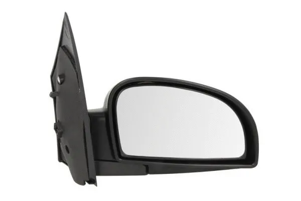 Exterior Mirror (5402-04-1121120P)