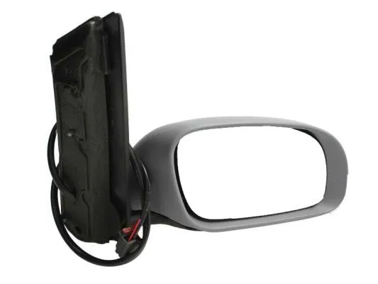 Exterior Mirror (5402-04-9221192)
