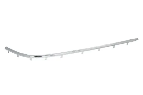 Trim/Protection Strip, bumper (5513-00-00659715P)