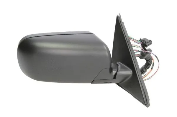 Exterior Mirror (5402-04-1121825P)