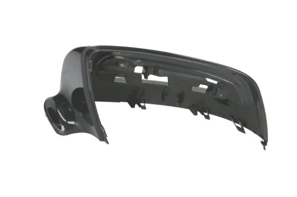 Housing, exterior mirror (6103-02-2001800P)