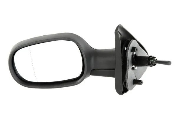 Exterior Mirror (5402-04-1191219P)