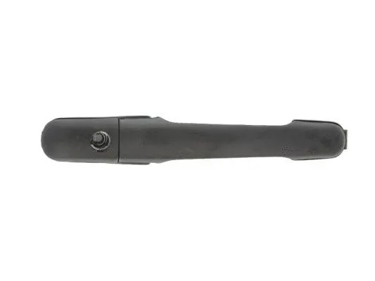 Exterior Door Handle (6010-02-018405P)