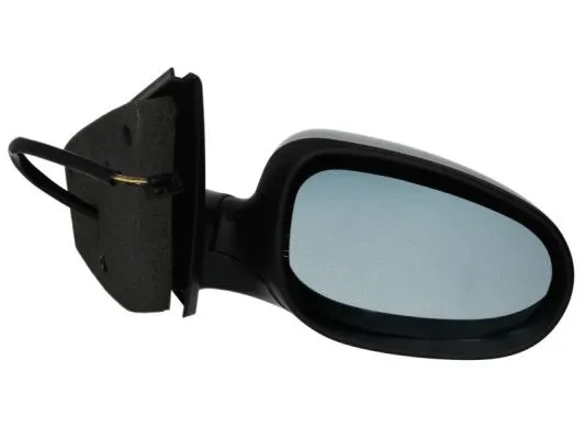 Exterior Mirror (5402-04-1129551)