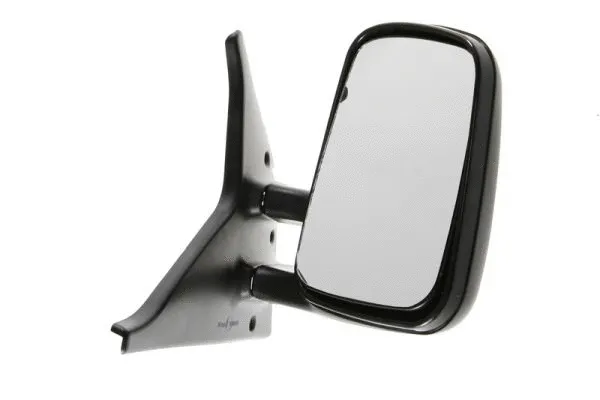 Exterior Mirror (5402-04-1192981)