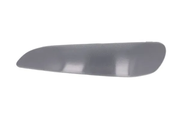 Trim/Protection Strip, bumper (5513-00-8101925Q)