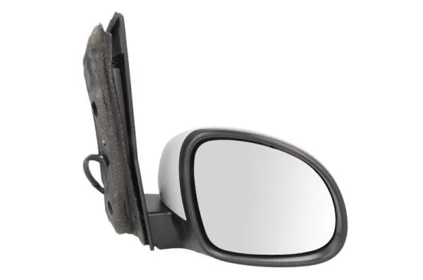 Exterior Mirror (5402-10-2002262P)