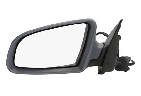 Exterior Mirror (5402-04-1119590P)