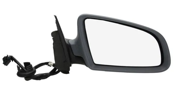 Exterior Mirror (5402-04-1129599)