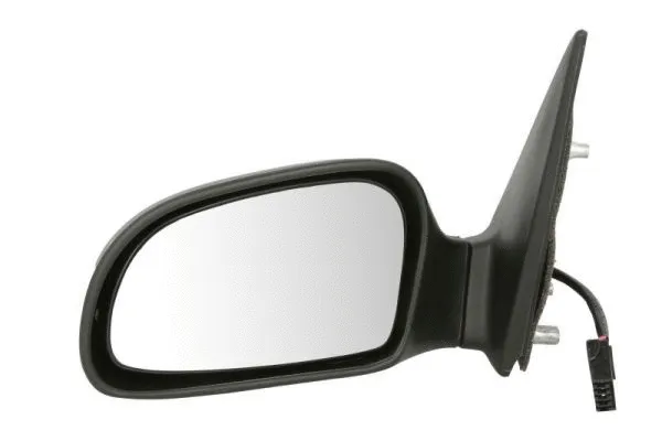Exterior Mirror (5402-04-1139338)