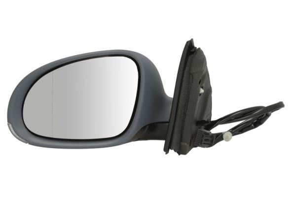 Exterior Mirror (5402-04-1121121P)
