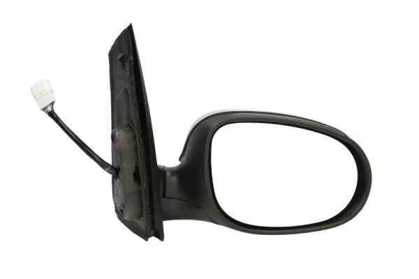 Exterior Mirror (5402-03-048364P)