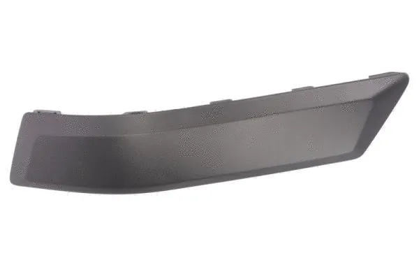 Trim/Protection Strip, bumper (5703-05-2576976P)