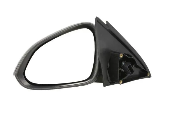 Exterior Mirror (5402-04-1199221P)