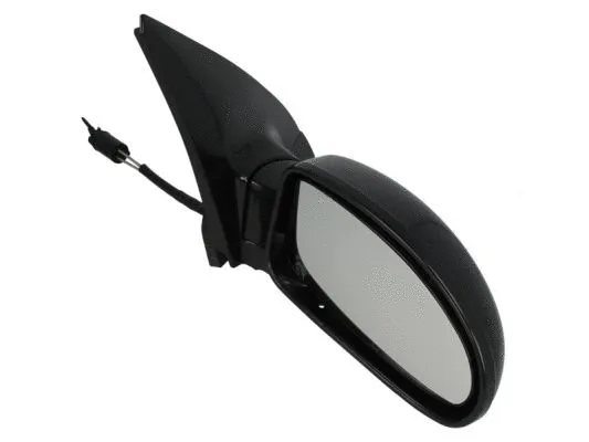 Exterior Mirror (5402-04-1115395P)
