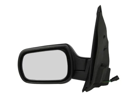 Exterior Mirror (5402-04-1125387)