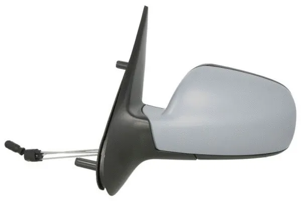 Exterior Mirror (5402-04-1191315)