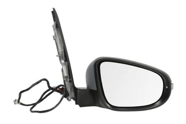 Exterior Mirror (5402-01-038360P)