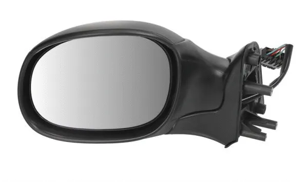 Exterior Mirror (5402-04-1125312)