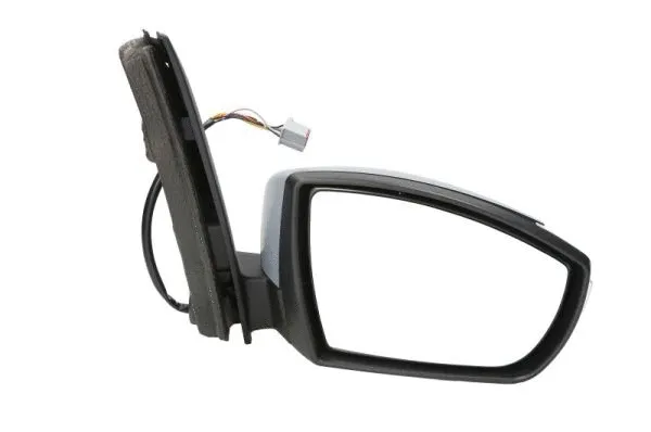 Exterior Mirror (5402-03-2001192P)