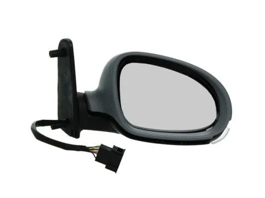 Exterior Mirror (5402-04-1139891P)