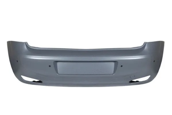 Bumper (5506-00-2070955P)