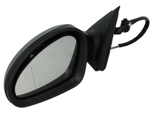 Exterior Mirror (5402-04-1112892P)