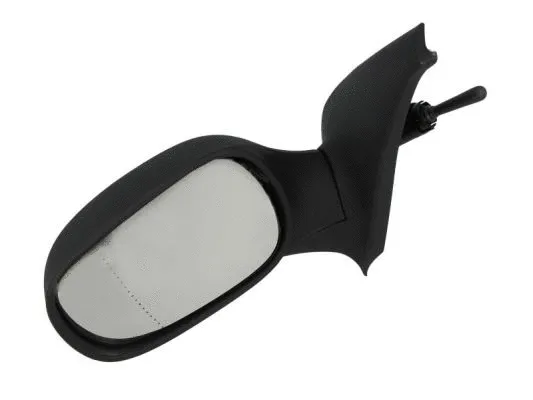 Exterior Mirror (5402-04-1191112P)