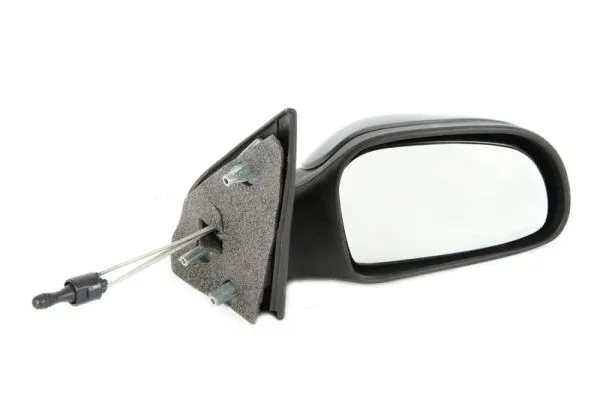 Exterior Mirror (5402-04-1138338)