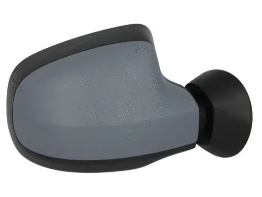 Exterior Mirror (5402-04-1129593)