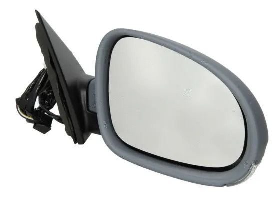 Exterior Mirror (5402-04-1132118)