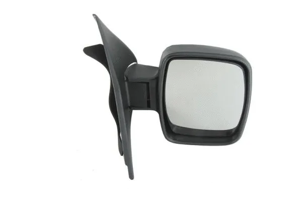 Exterior Mirror (5402-04-9292918)