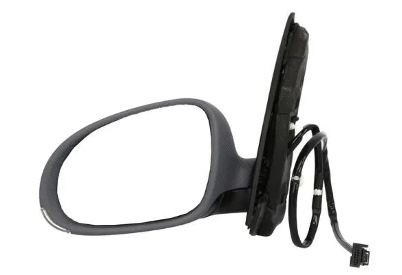 Exterior Mirror (5402-04-1131119P)