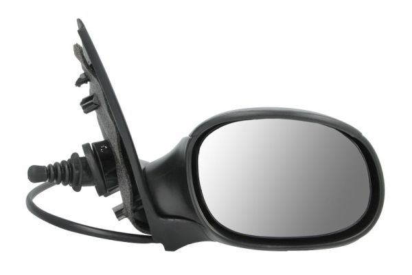 Exterior Mirror (5402-04-1121528P)