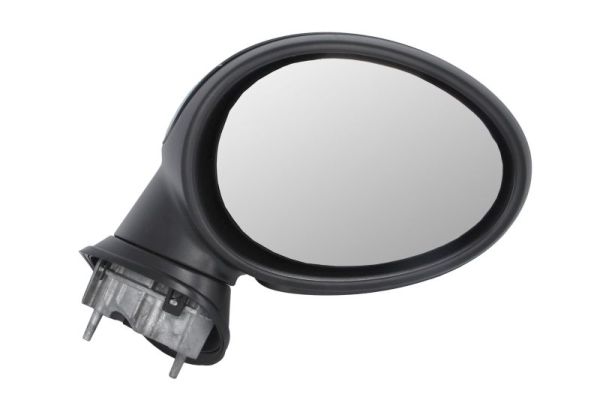 Exterior Mirror (5402-04-1129934P)