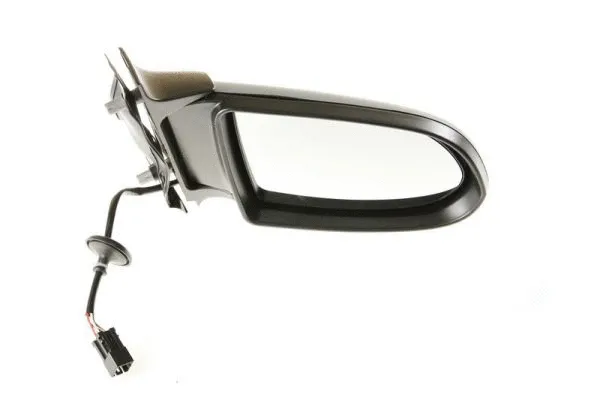 Exterior Mirror (5402-04-1121234P)