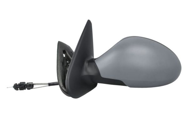 Exterior Mirror