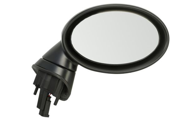 Exterior Mirror (5402-04-1129954P)