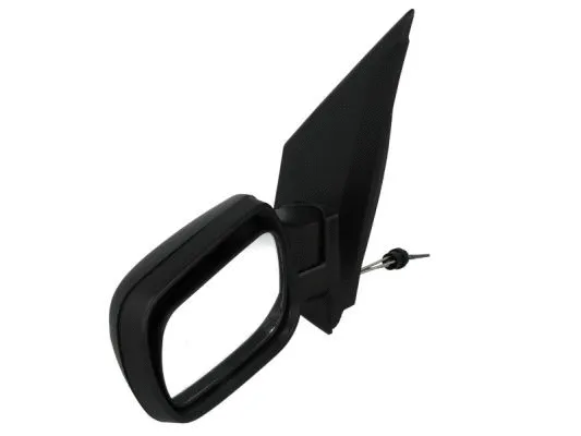 Exterior Mirror (5402-04-1112389P)