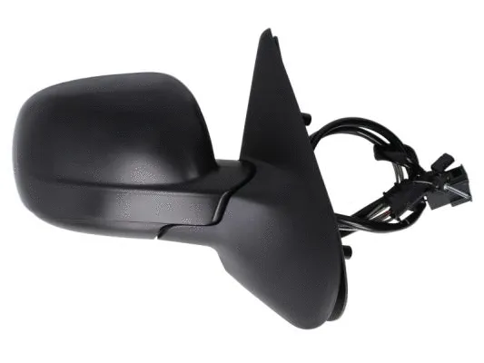 Exterior Mirror (5402-04-1132979P)