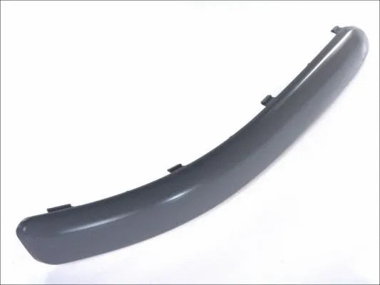 Trim/Protection Strip, bumper (5510-00-9506924P)