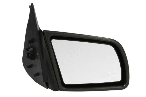 Exterior Mirror (5402-04-1121238P)
