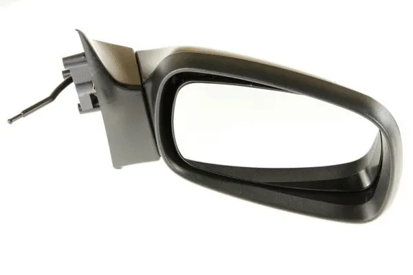 Exterior Mirror (5402-04-1115231P)