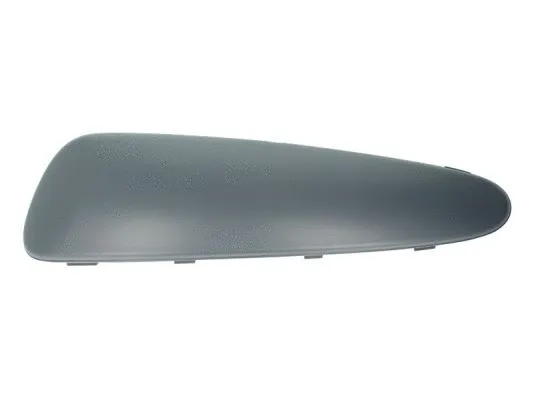 Trim/Protection Strip, bumper (5513-00-8101921P)