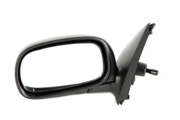 Exterior Mirror (5402-04-1112525P)
