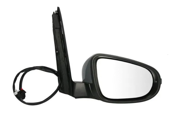 Exterior Mirror (5402-01-2002734P)
