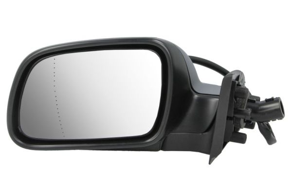 Exterior Mirror (5402-04-1125397P)