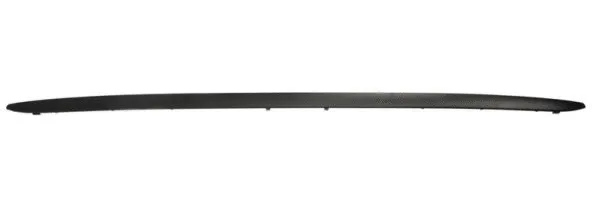 Trim/Protection Strip, bumper (5511-00-2013970P)