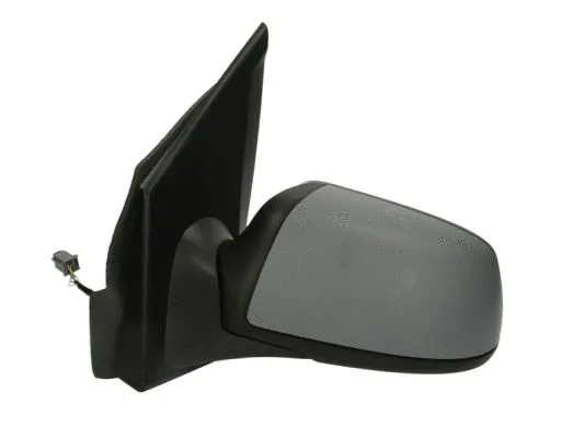 Exterior Mirror (5402-04-1125393)